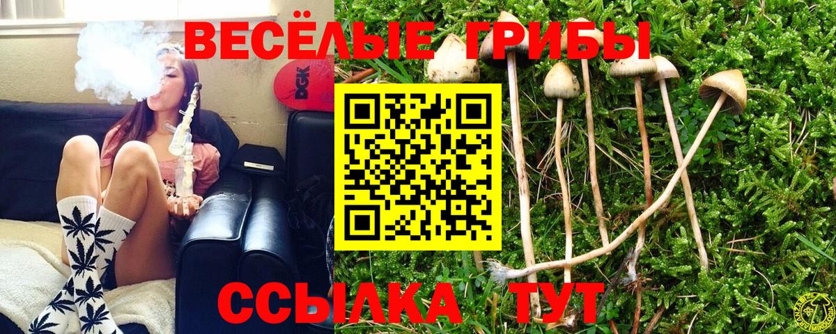 Псилоцибиновые грибы GOLDEN TEACHER  Псилоцибиновые грибы мухоморы  Гулькевичи  Вход с VPN 
